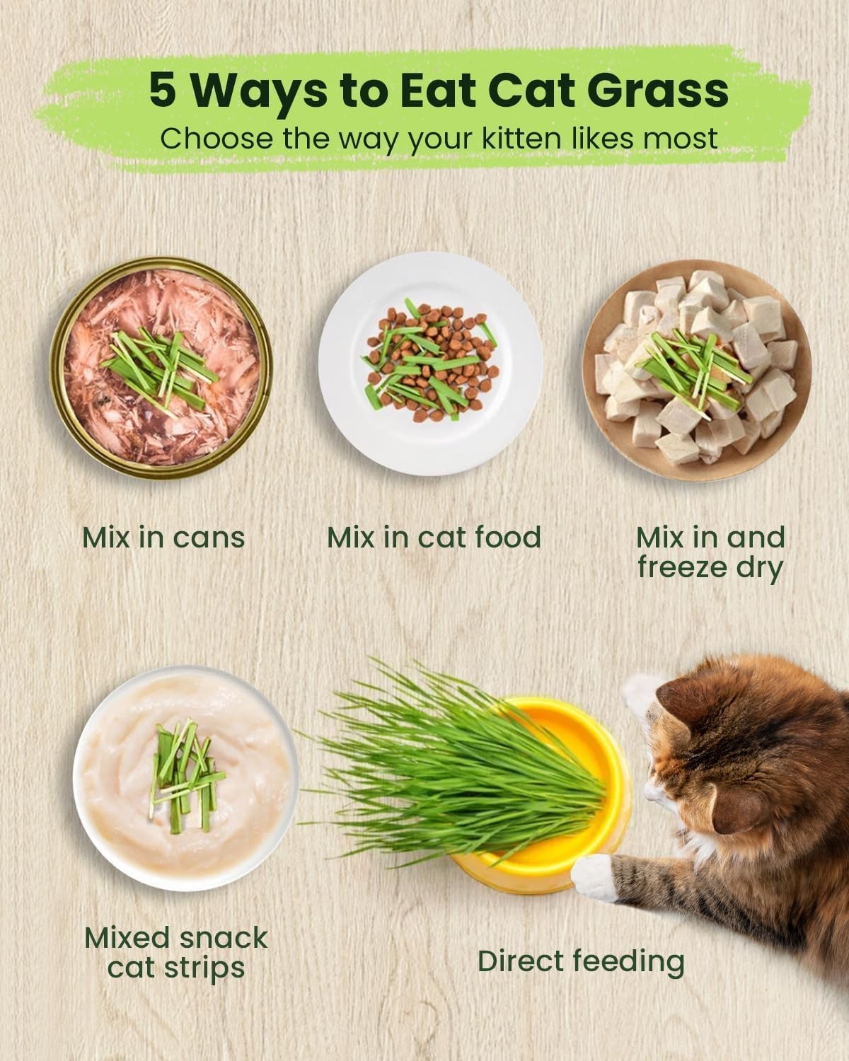 Cat Grass Kit for Indoor Cats 3 Pack, Organic Wheat Grass Seeds Grows in 7 Days