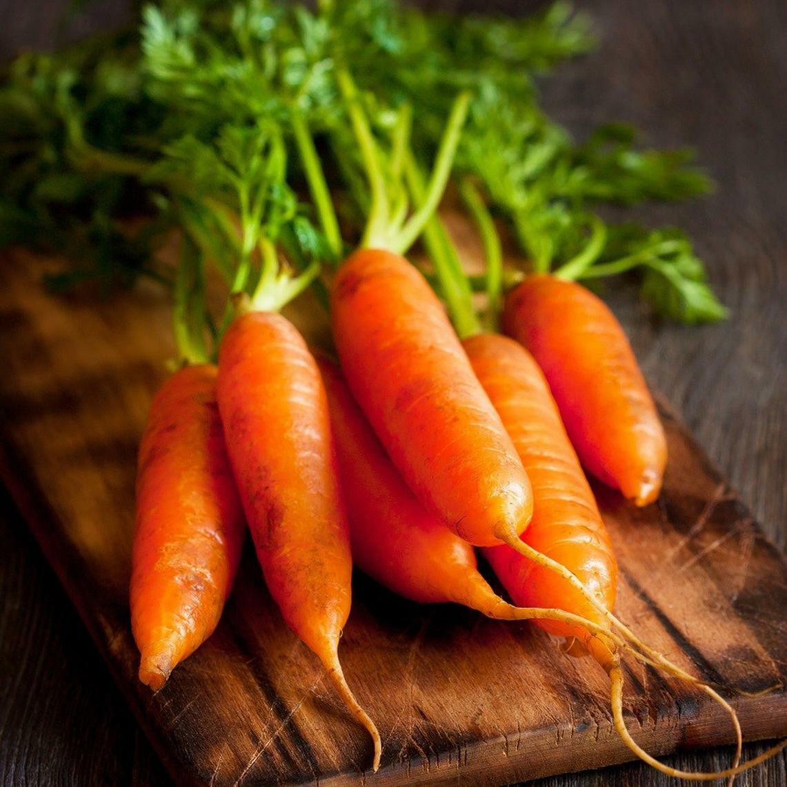 Little Fingers Carrot Seeds, Baby Carrot, Nantes Type, NON-GMO, FREE SHIPPING