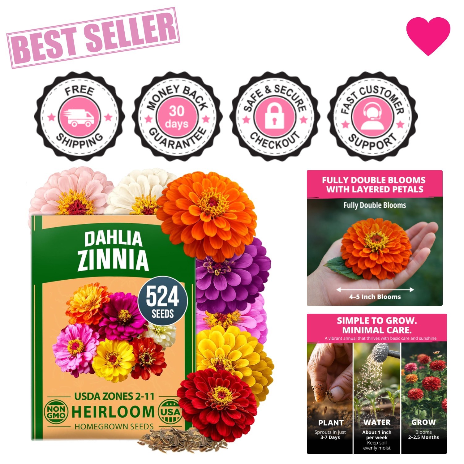 Zinnia Dahlia Seeds Pack for 2026 Non GMO 524 Flower Seeds | Vibrant Zinnia E…