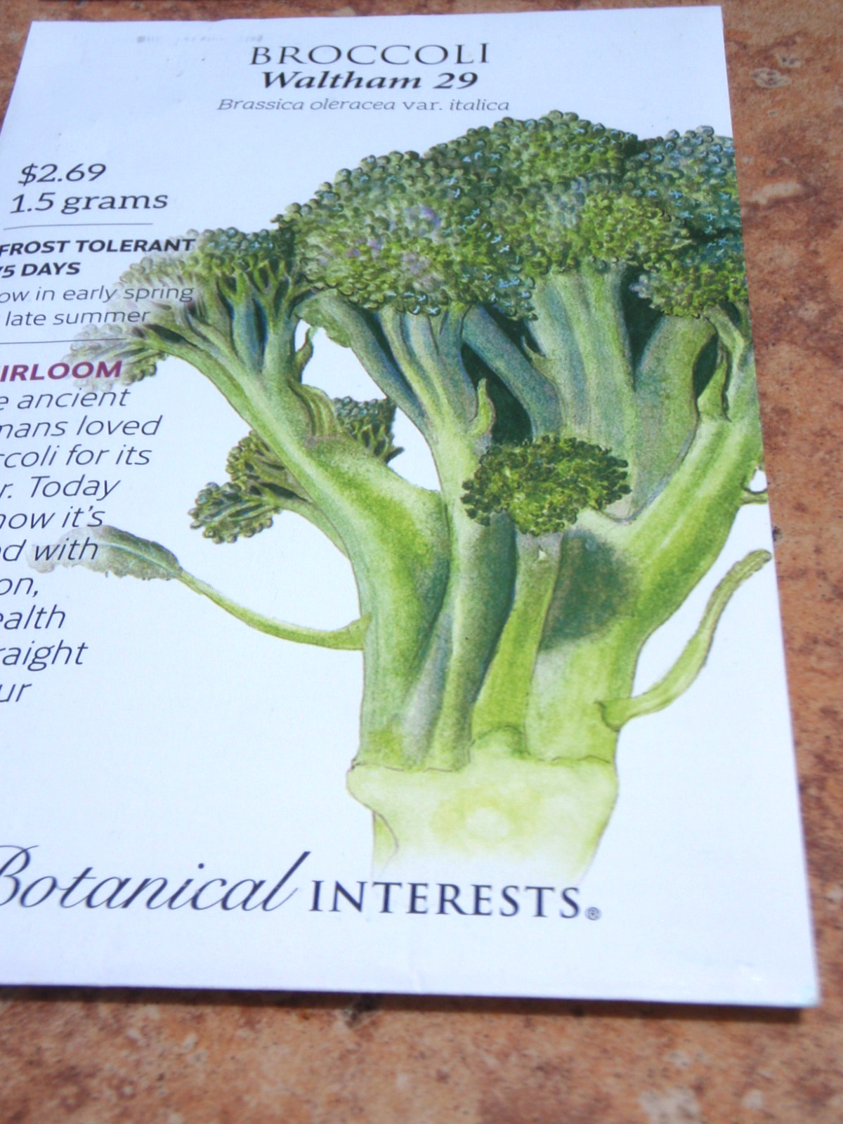 (4 PACK) HEIRLOOM NEW BROCCOLI WALTHAM 29-BOTANICAL INTERESTS SEEDS-PK 12/31/25
