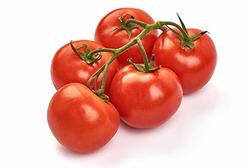 Tomato Homestead Heirloom Garden Vegetable Seeds by Seed Kingdom 200 Seeds