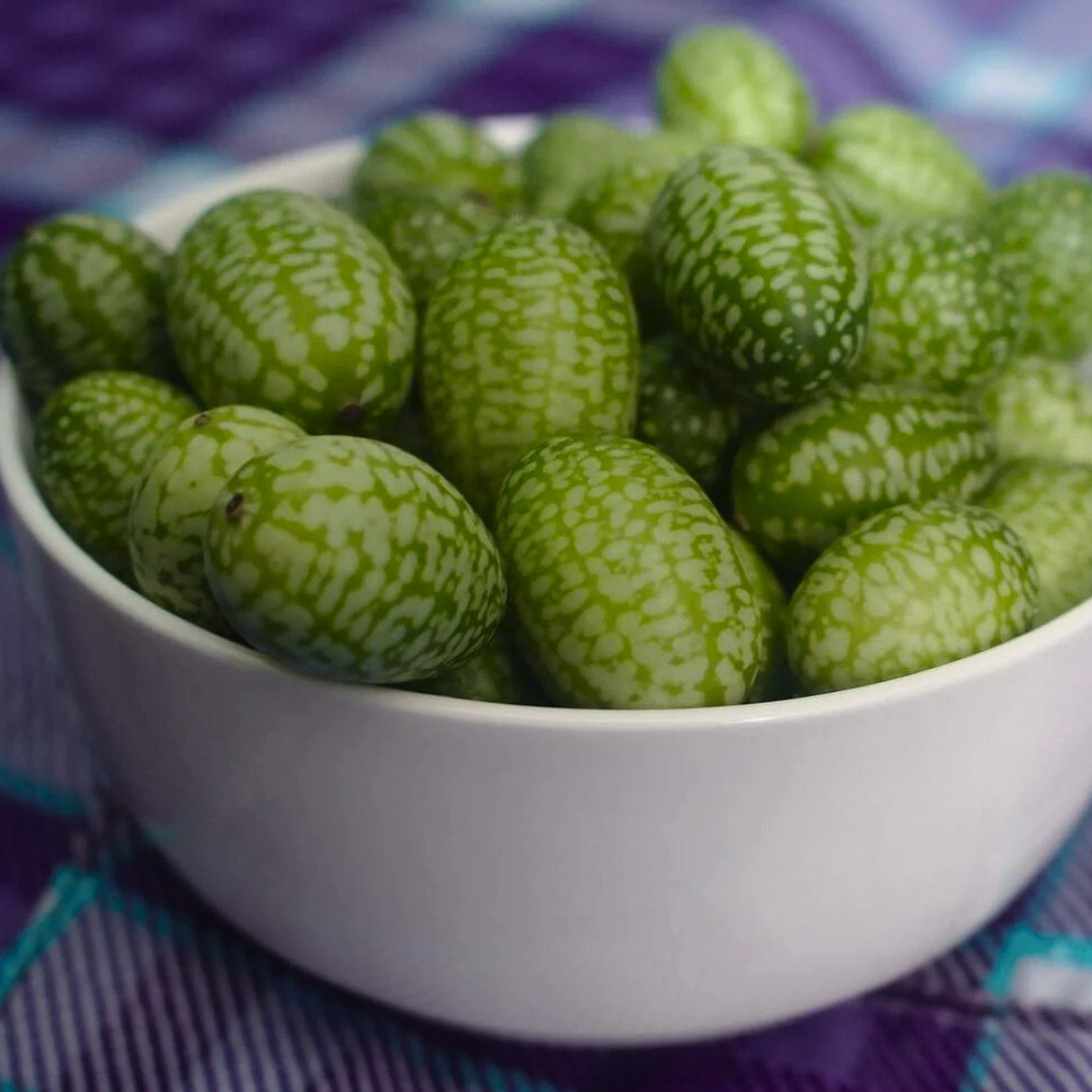 Fresh Mexican Sour Gherkin Seeds | Mouse Melon | Heirloom Non-GMO | Vegetables