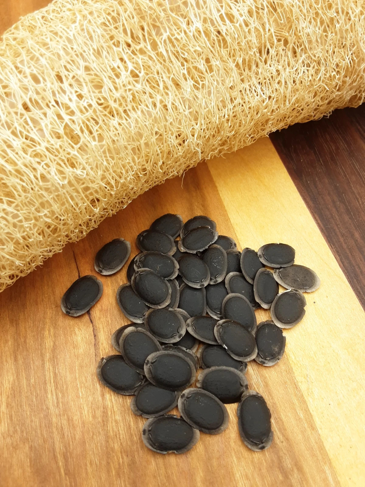 75pcs Super Long Luffa Gourd Seeds – Non-GMO, Loofah Sponge Gourd Seeds