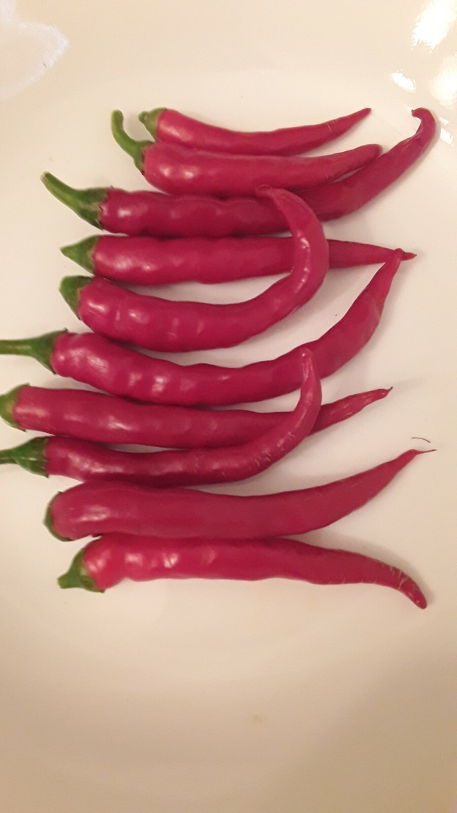 75+ Red Long Cayenne Pepper Seeds Hot Open Pollinated Non-Gmo