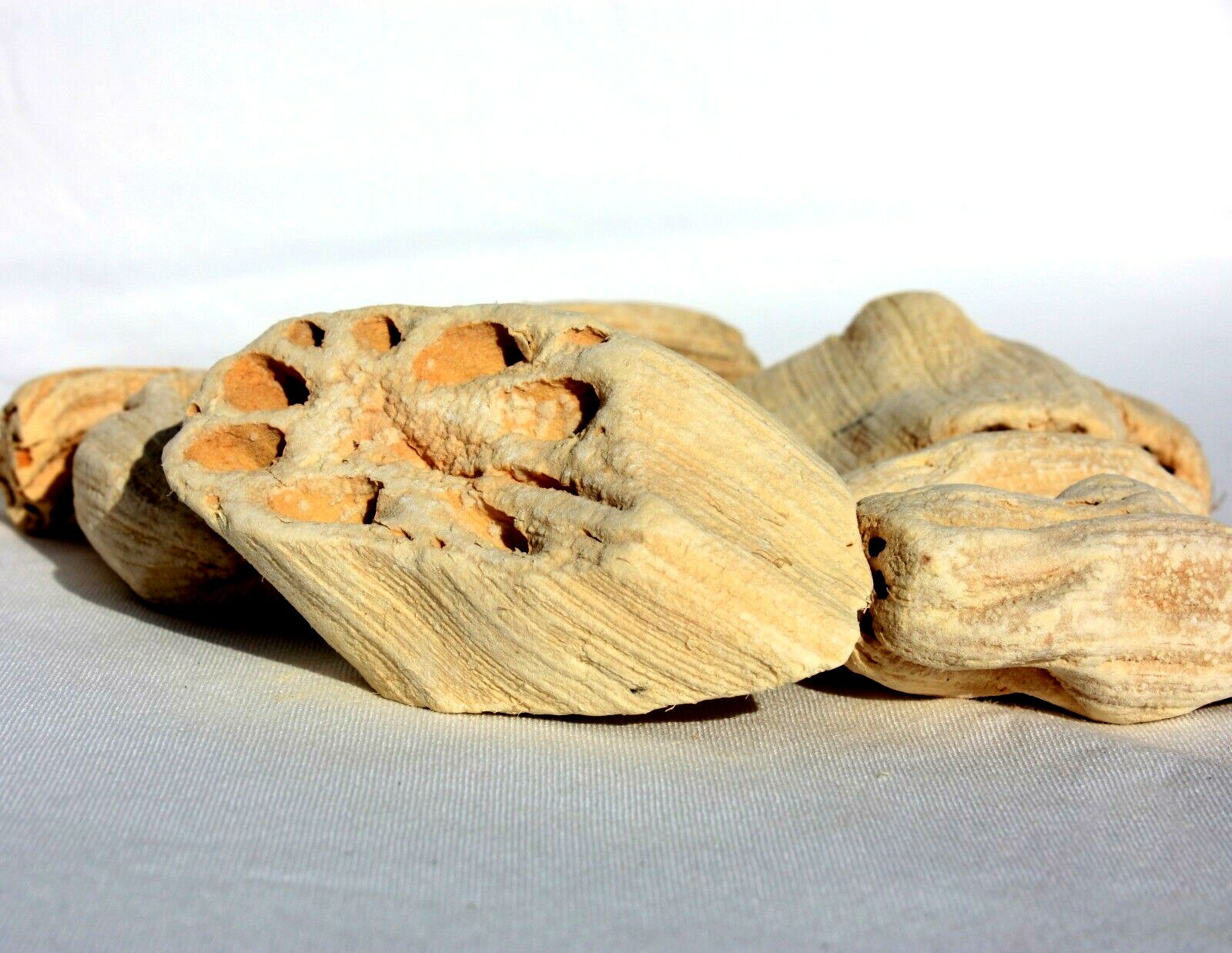 LUCKY LOTUS ROOTS – Wicca, Voodoo, Hoodoo, Santeria 3oz – 12oz