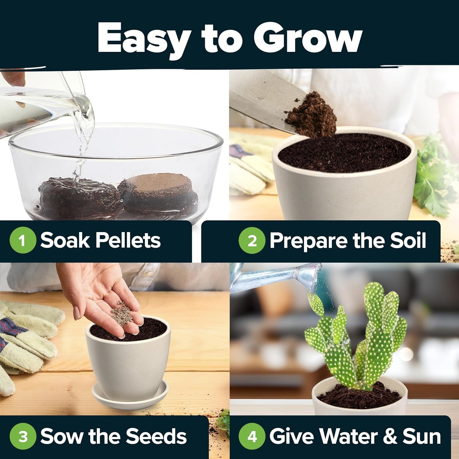 Indoor & Outdoor Cactus & Succulent Starter Kit – All-in-One Gardening