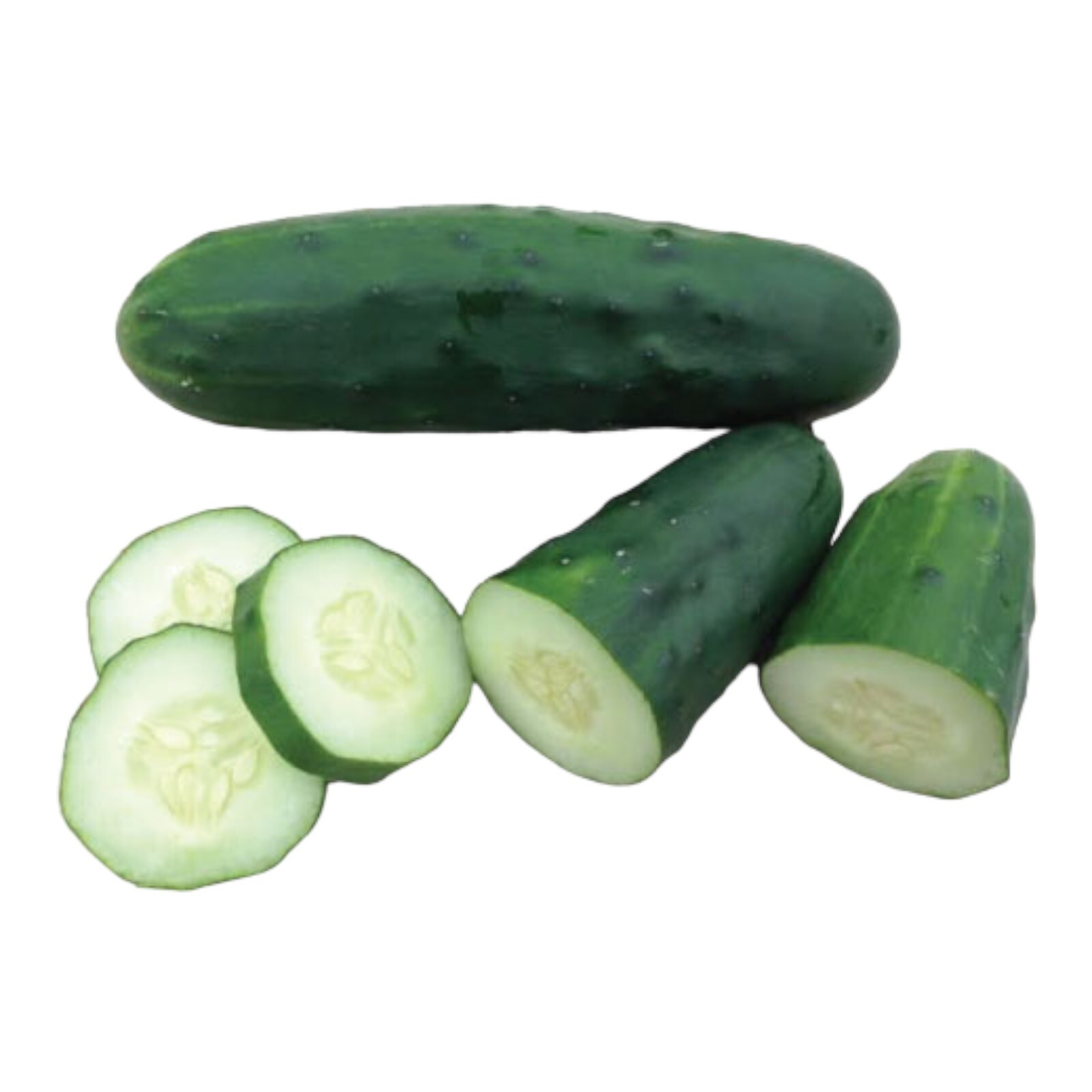 25 Marketmore 76 CUCUMBER SEEDS | productive variety | sweet and tender.