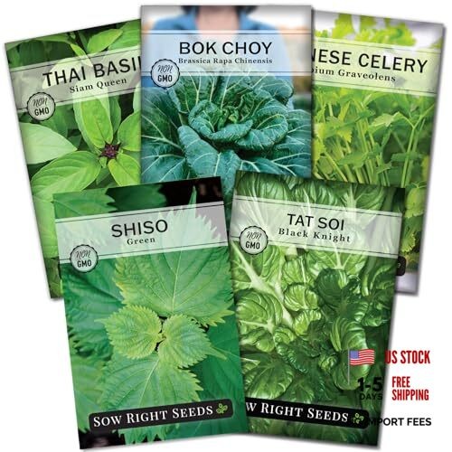 – Asian Greens Seed Collection for Planting – Includes Thai Basil, Bok Choy,