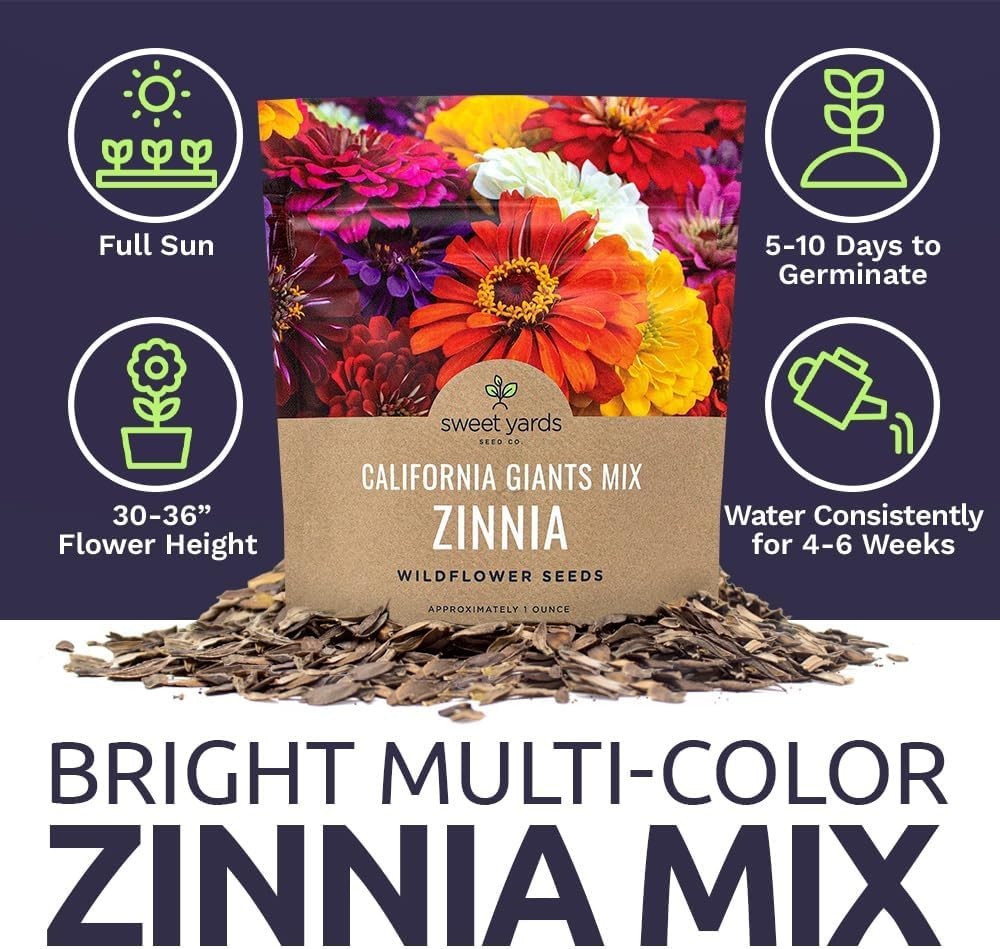 Heirloom Zinnia Seeds – 1 Ounce with 3,000 Seeds for Colorful Spring-Fall Blooms