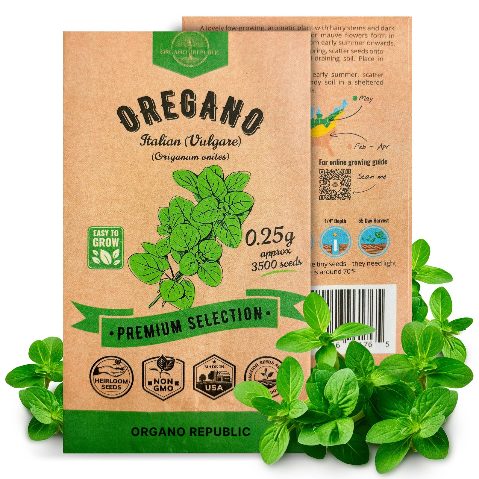 Italian Vulgare Oregano Seeds