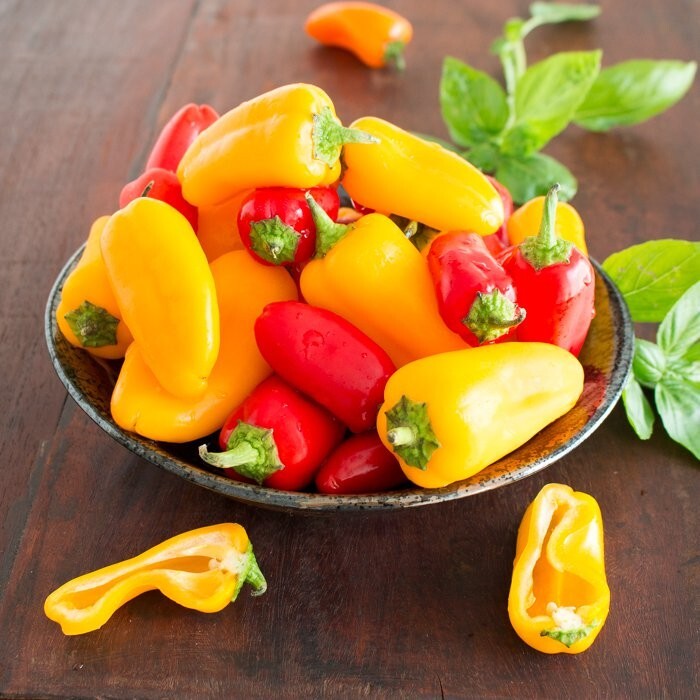 40 Mini Sweet Pepper seeds NON-GMO, mixed colors, fresh garden snacking. Yummy!