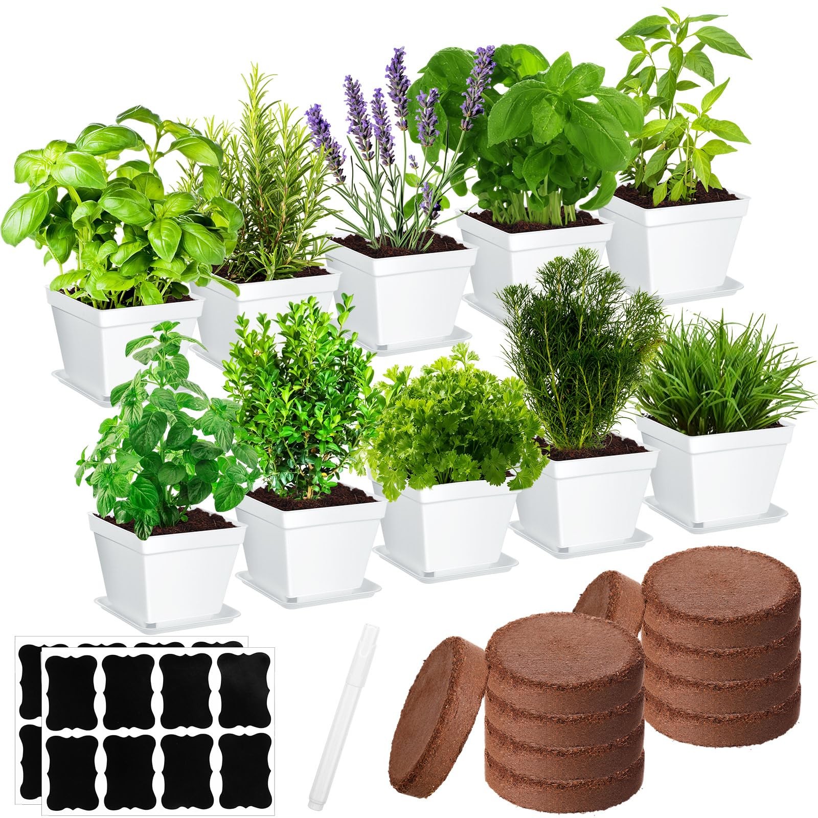 10 Set Indoor Herb Garden Starter Kit, Herb Growing Kit with Pots, Nutritiona…