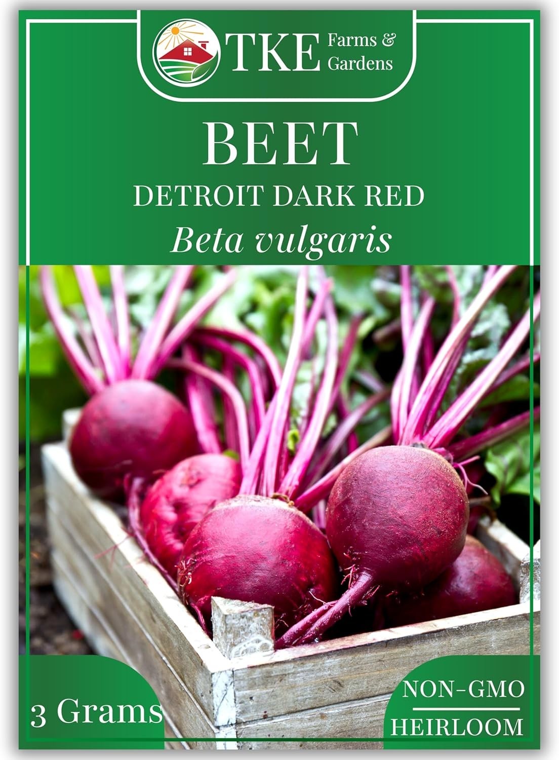 Easy-Care Detroit Dark Red Beet Seeds – 125+ Heirloom Non-GMO, Drought Tolerant