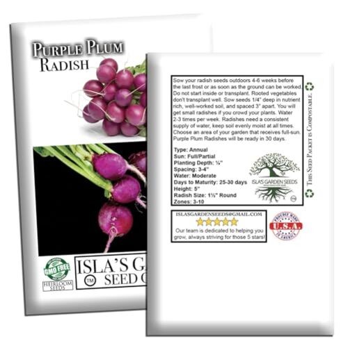 Purple Plum Radish Seeds (Raphanus sativus) – 150+ Heirloom Non-GMO Seeds by