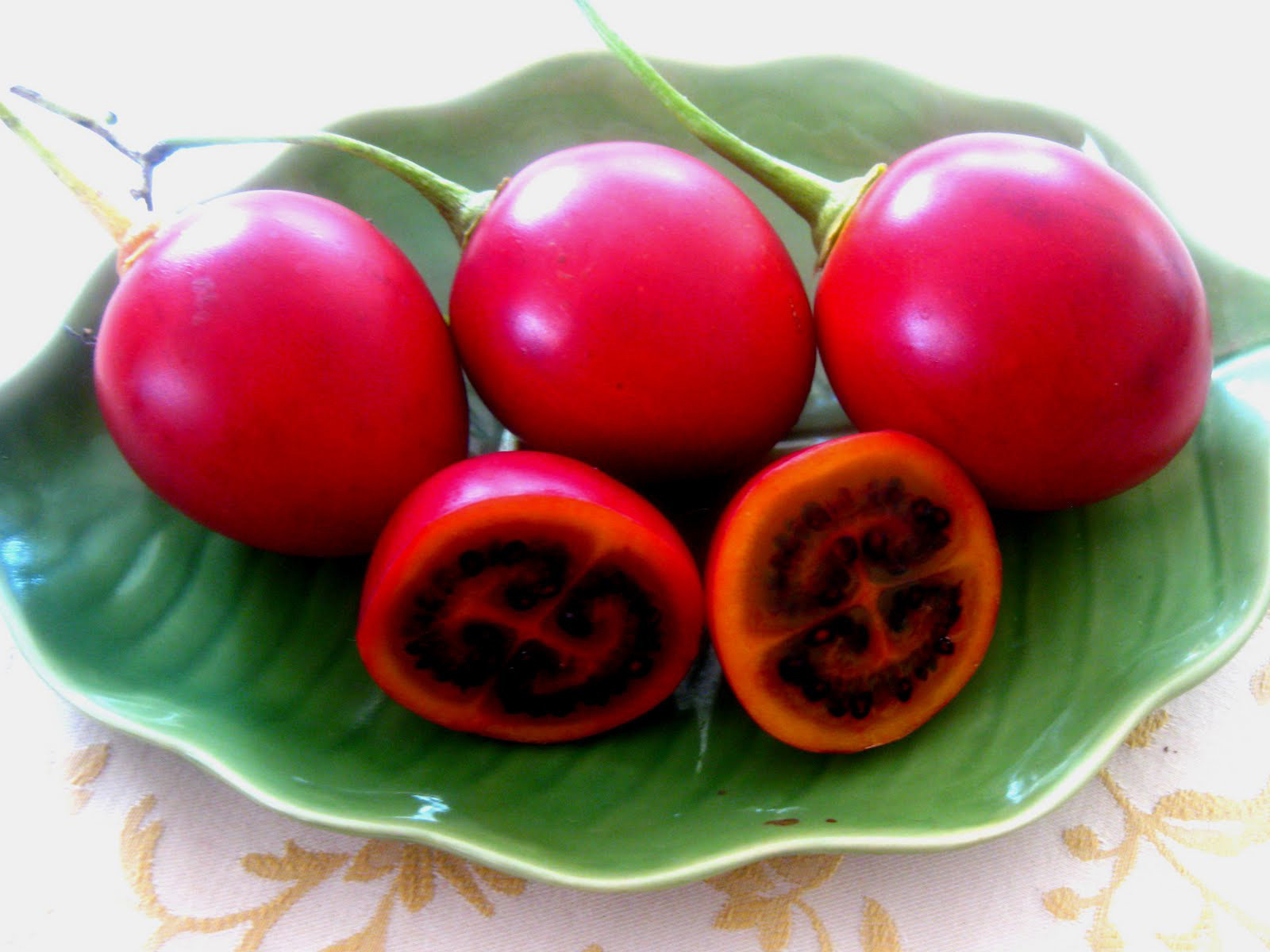Cyphomandra betacea Tree tomato or tamarillo 10 seeds