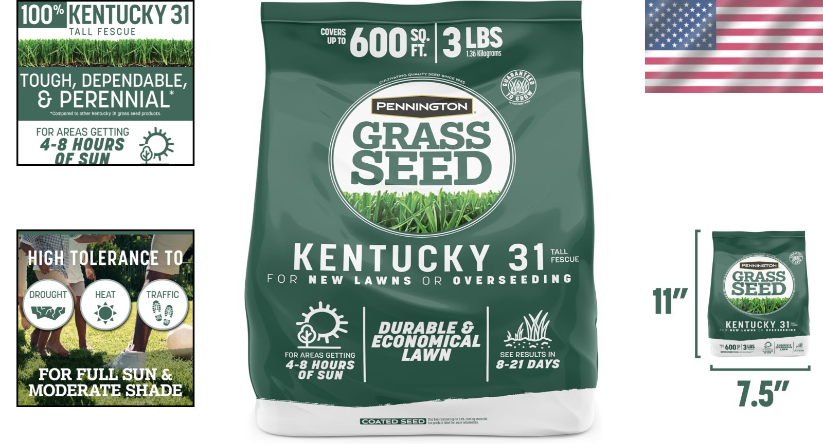 Create a Lush Kentucky 31 Fescue Lawn – 3 LB Grass Seed for Up to 4,000 sq. ft.