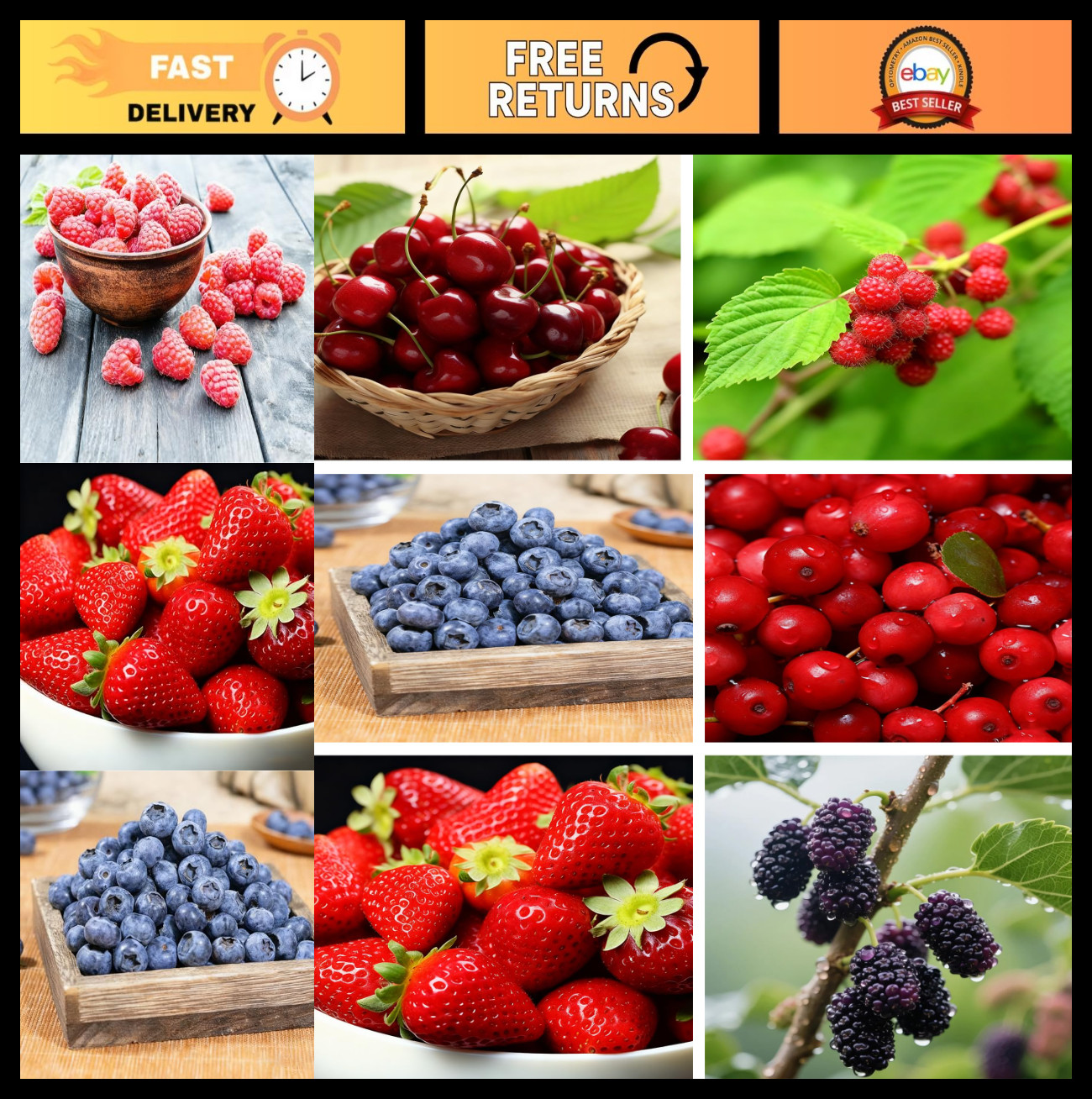 1500+ Mixed Fruit Tree Seeds – 6 Varieties: Strawberry, Blueberry, Raspberry, Mu