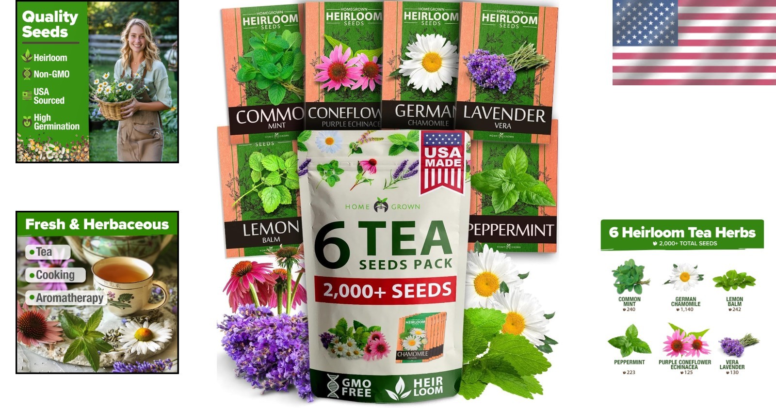 Medicinal Herb Seeds Vault – 2,000+ NON-GMO Heirloom Seeds for Indoor & Outdoor