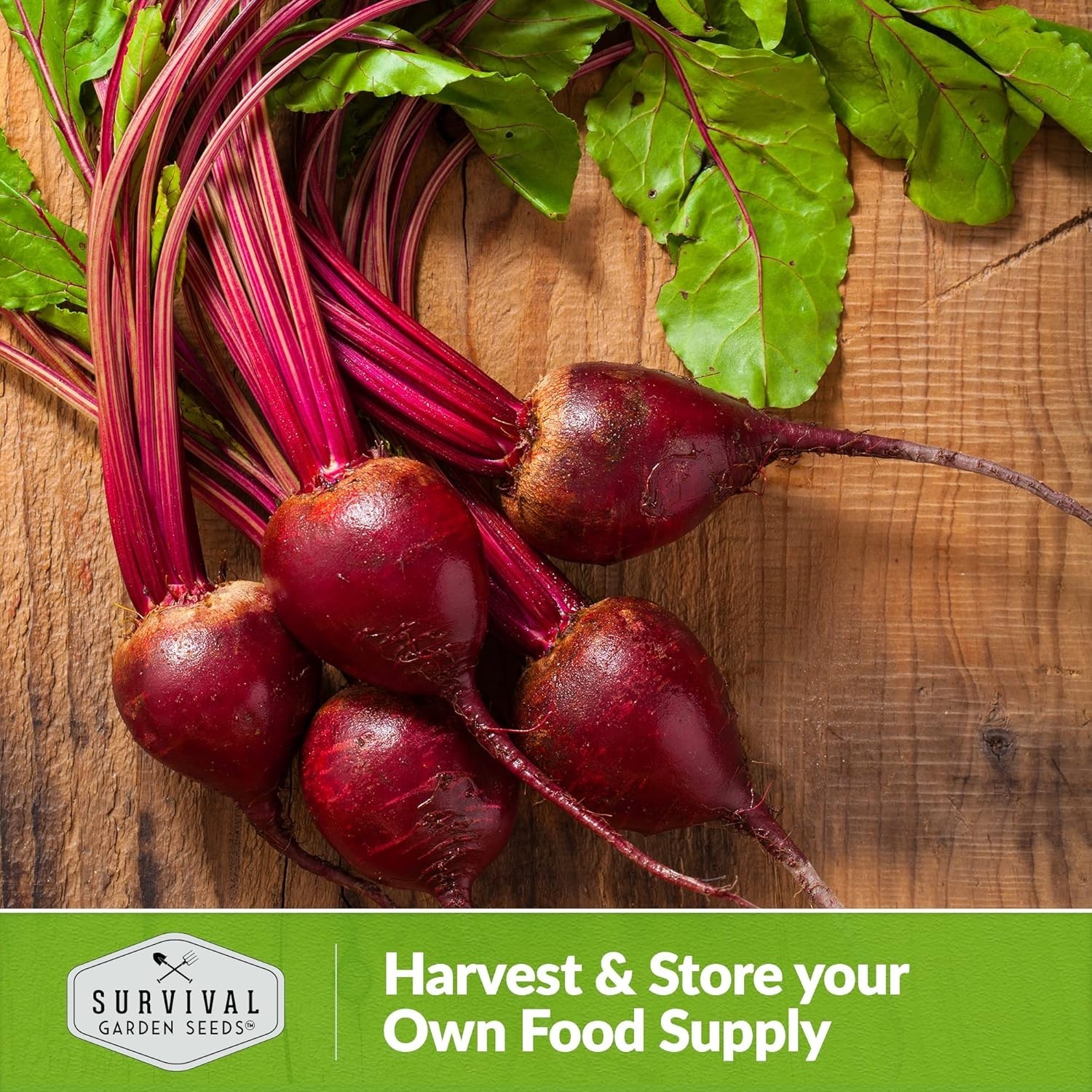 Heirloom Ruby Queen Beet Seeds – Compact, Disease Resistant, Gourmet Flavor