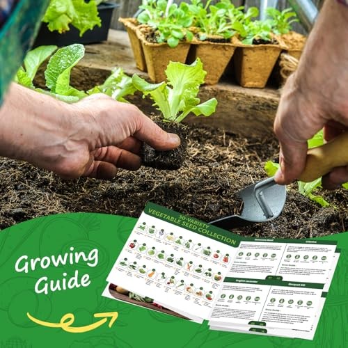 30 Heirloom Vegetable Seeds for Planting, 12,000+ Garden Seeds