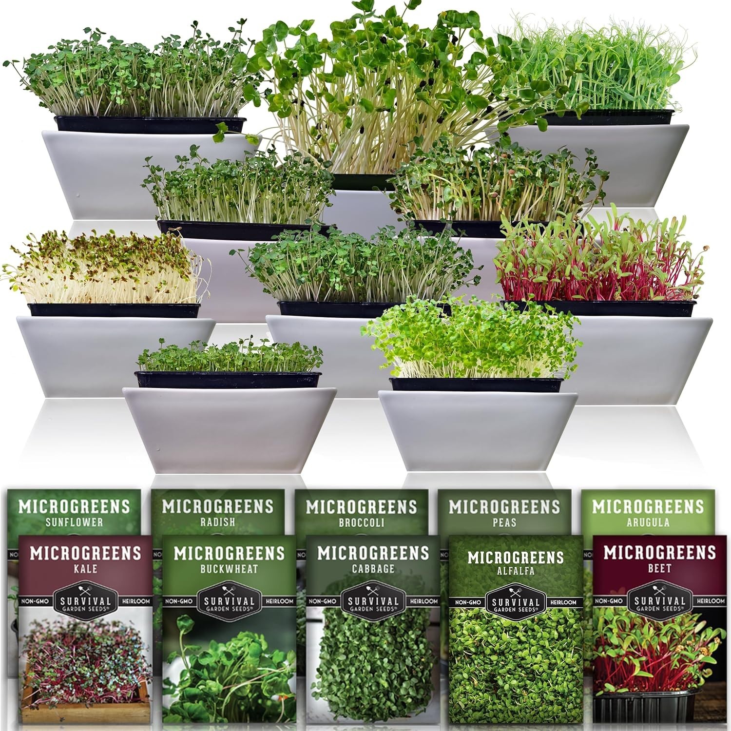 -Round Indoor Microgreens: 10 Varieties of Non-GMO Seeds for Healthy Living