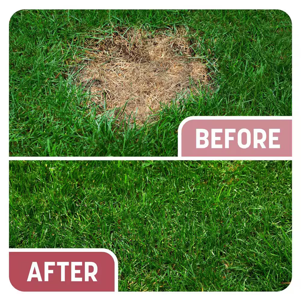 5 Lbs. Smart Patch Zoysia Grass Seed with Mulch, Fertilizer Free Shipping