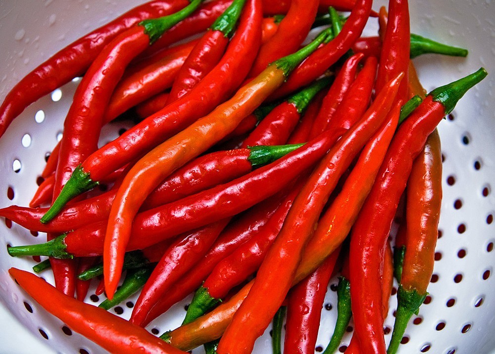 200+ Long Slim Cayenne Hot Pepper Seeds — HOT ———– Heirloom —- NON GMO
