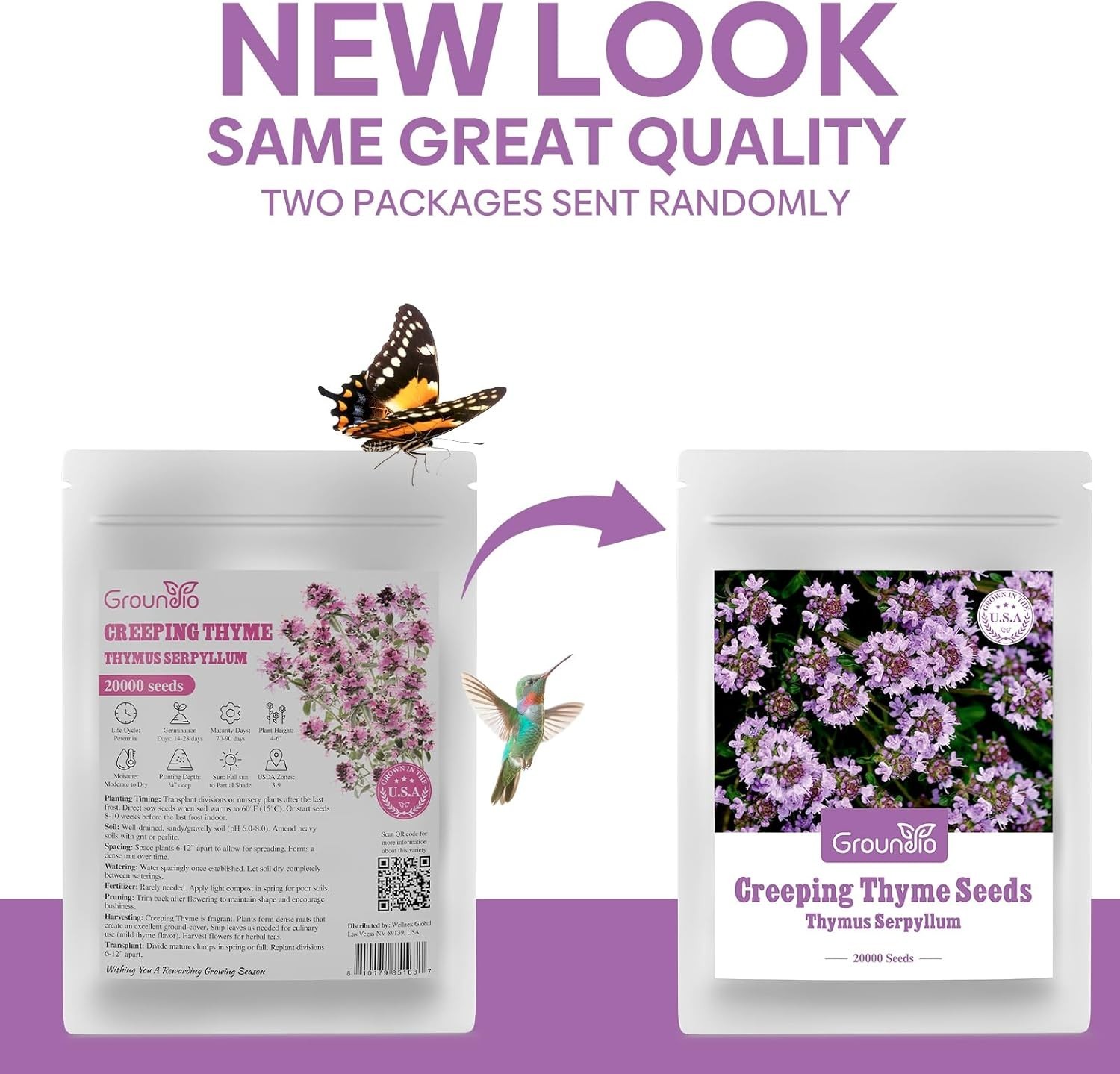 Attract Pollinators with 20000+ Creeping Thyme Seeds – Low Maintenance Option