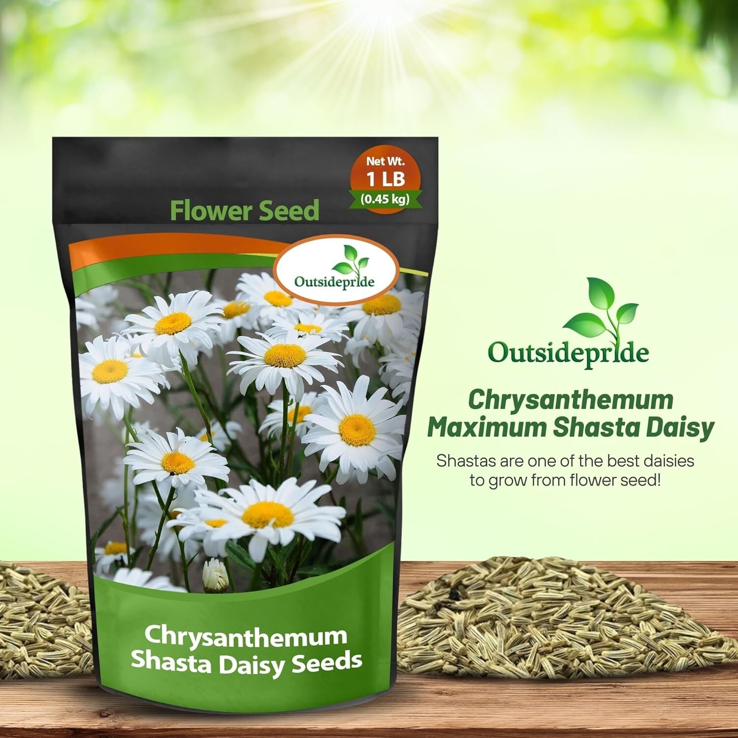 GMO-Free Shasta Daisy Seeds – 1 Lb. of Drought-Tolerant, Beautiful White Blooms
