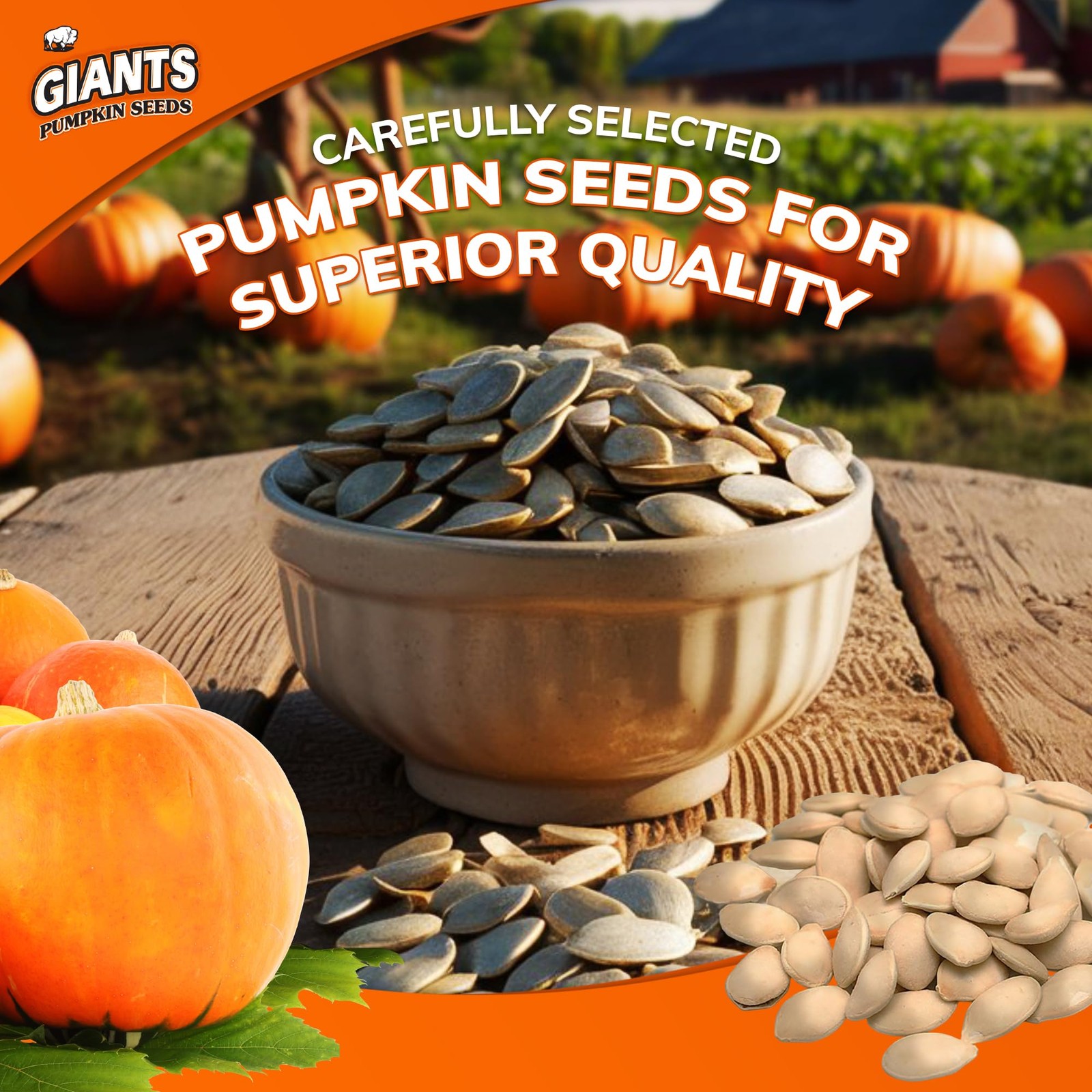 GIANTS Pumpkin Seeds – Pumpkin Seeds in Shell, Pumpkin Seeds to Eat, Roasted …