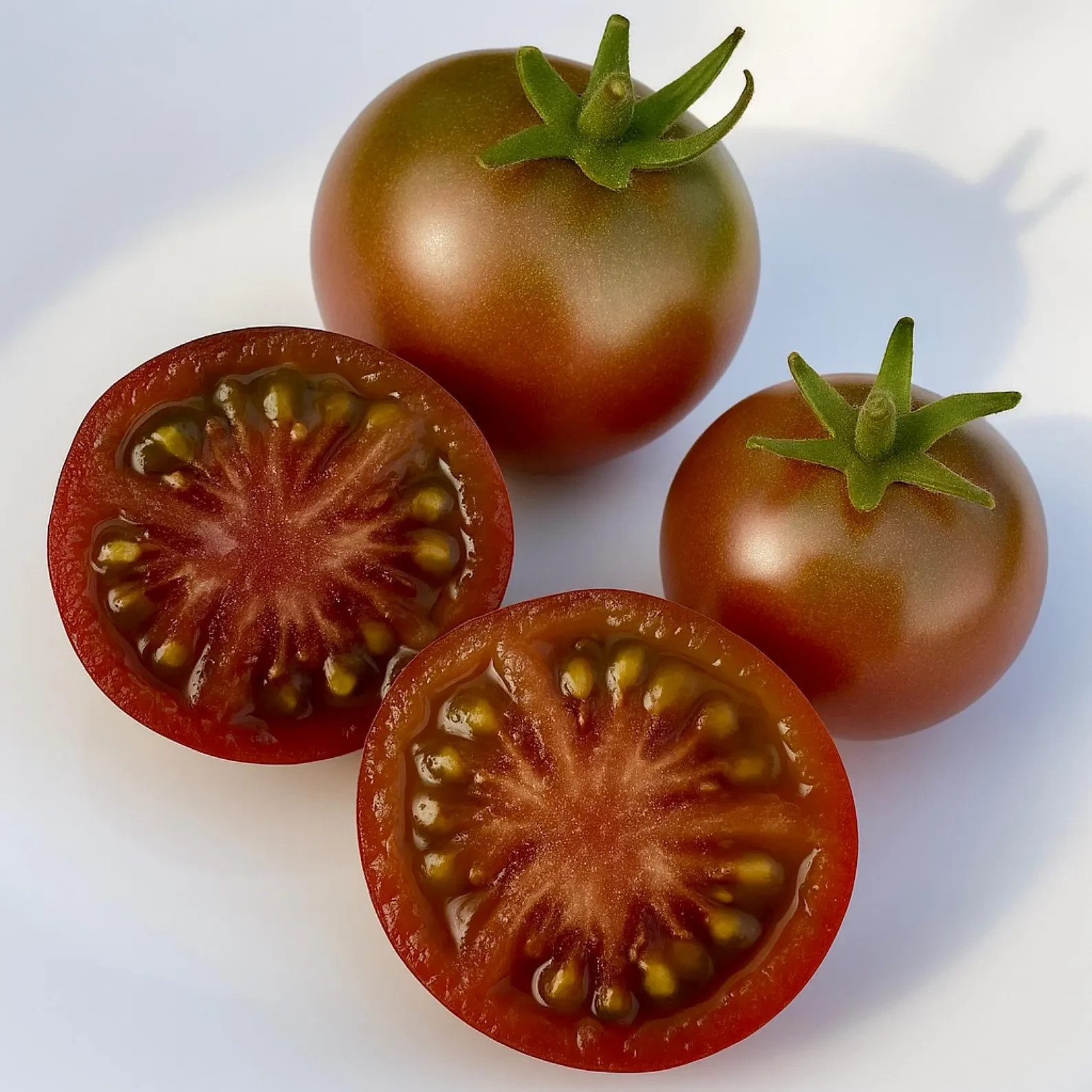 10 seeds Dwarf Velvet Night Tomato Purple cherry ORGANIC Rare Variety DTP