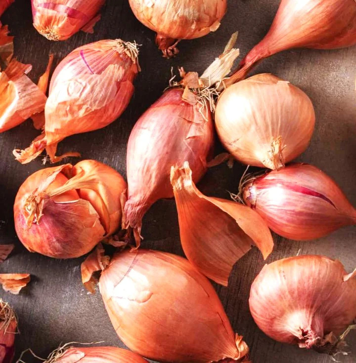 Nero Shallot Sets (Bulbs) | Traditional Round Onion Set Seed 2024 Fast Shipping