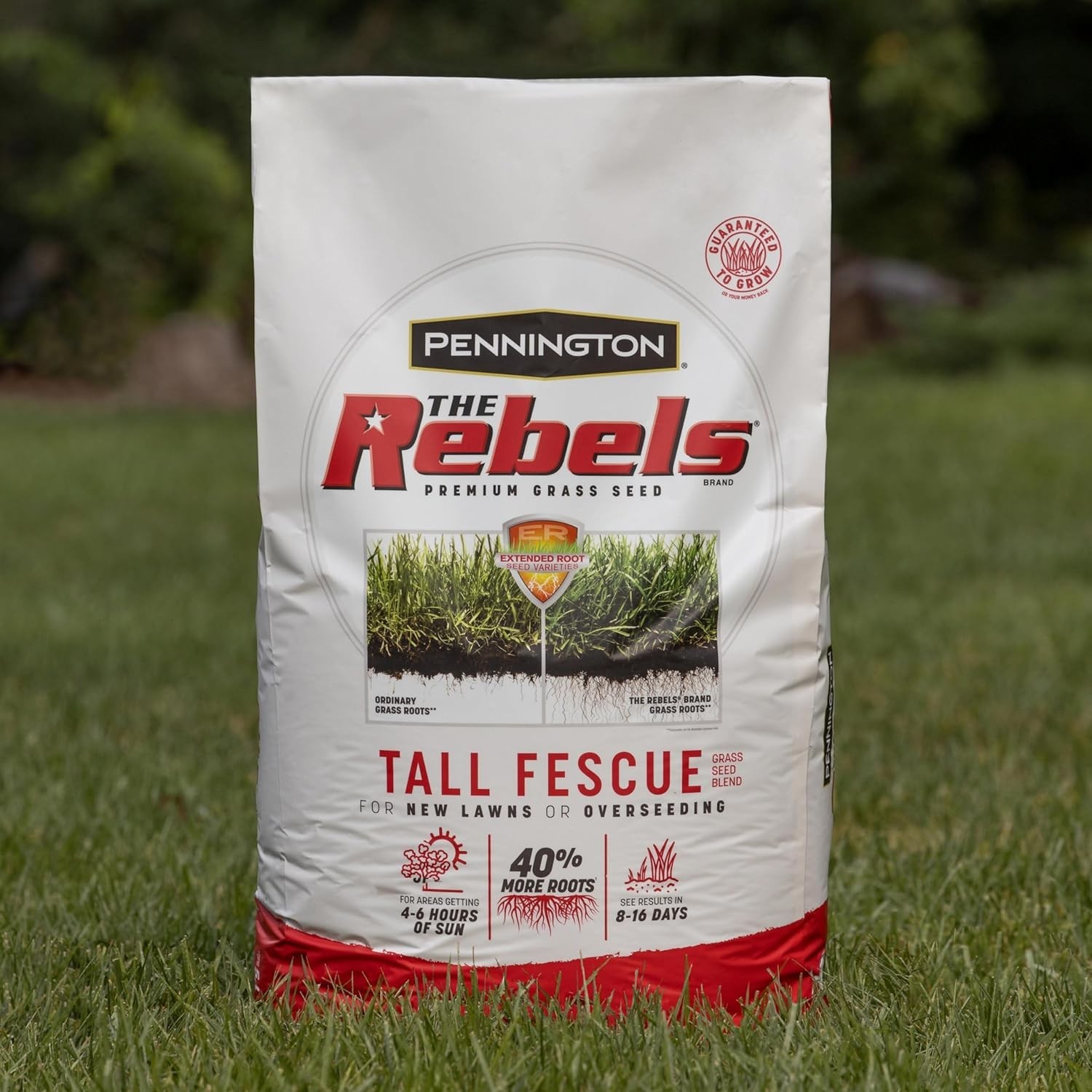The Rebels Tall Fescue Grass Seed Mix 3 lb