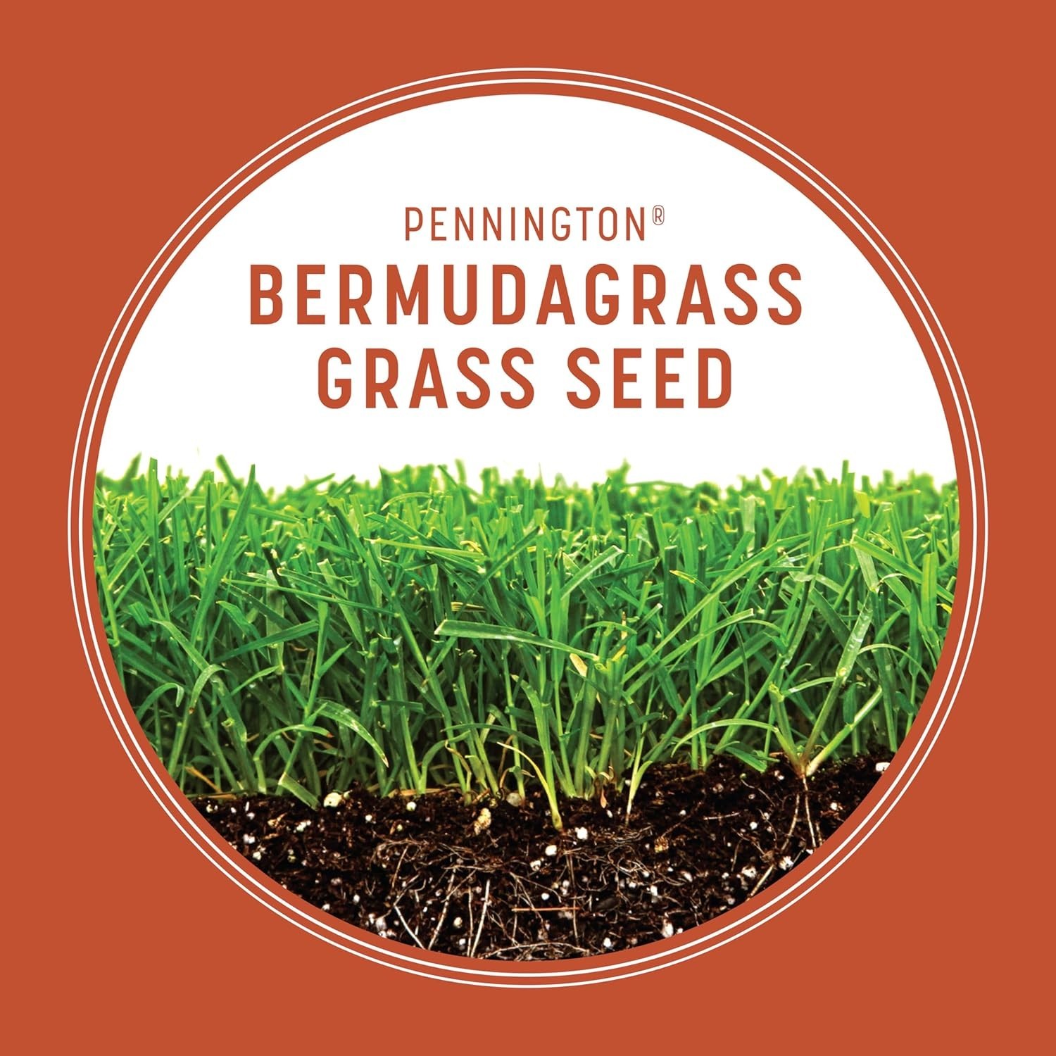 5 lb Cold-Tolerant Bermudagrass Seed – Drought-Resistant Lawn Solution