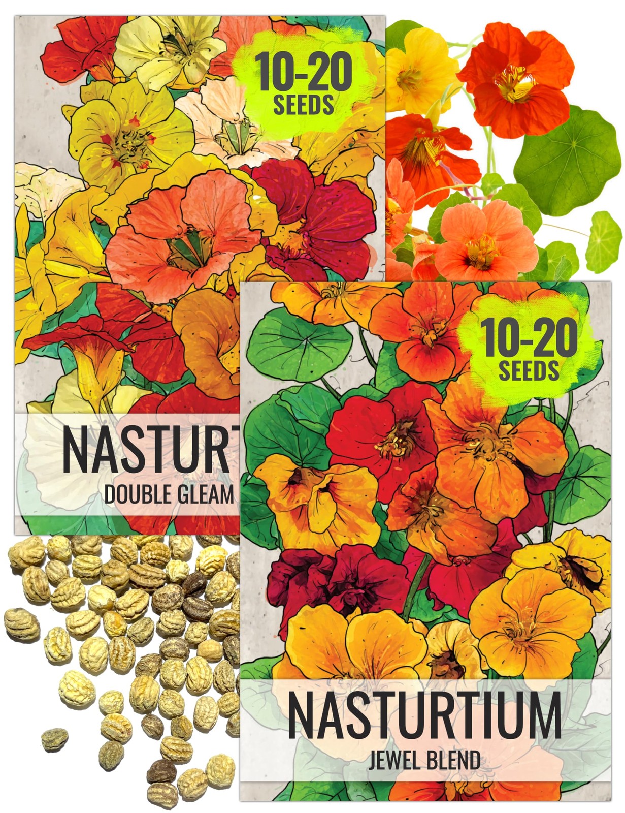 Nasturtium Seeds for Planting Edible Flowers – Collection Set of Jewel Blend …