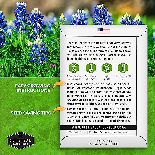 Texas Bluebonnet Seeds for Planting – Packets with Instructions to Plant & 2