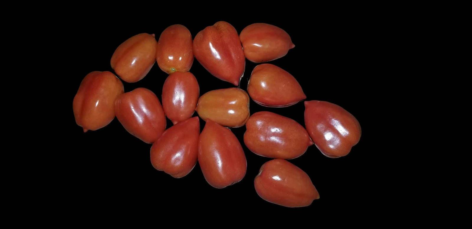 Micro Dwarf Heartbreaker Tomato– Heart-Shaped Fruits, Ideal for Indoor, Outdoor