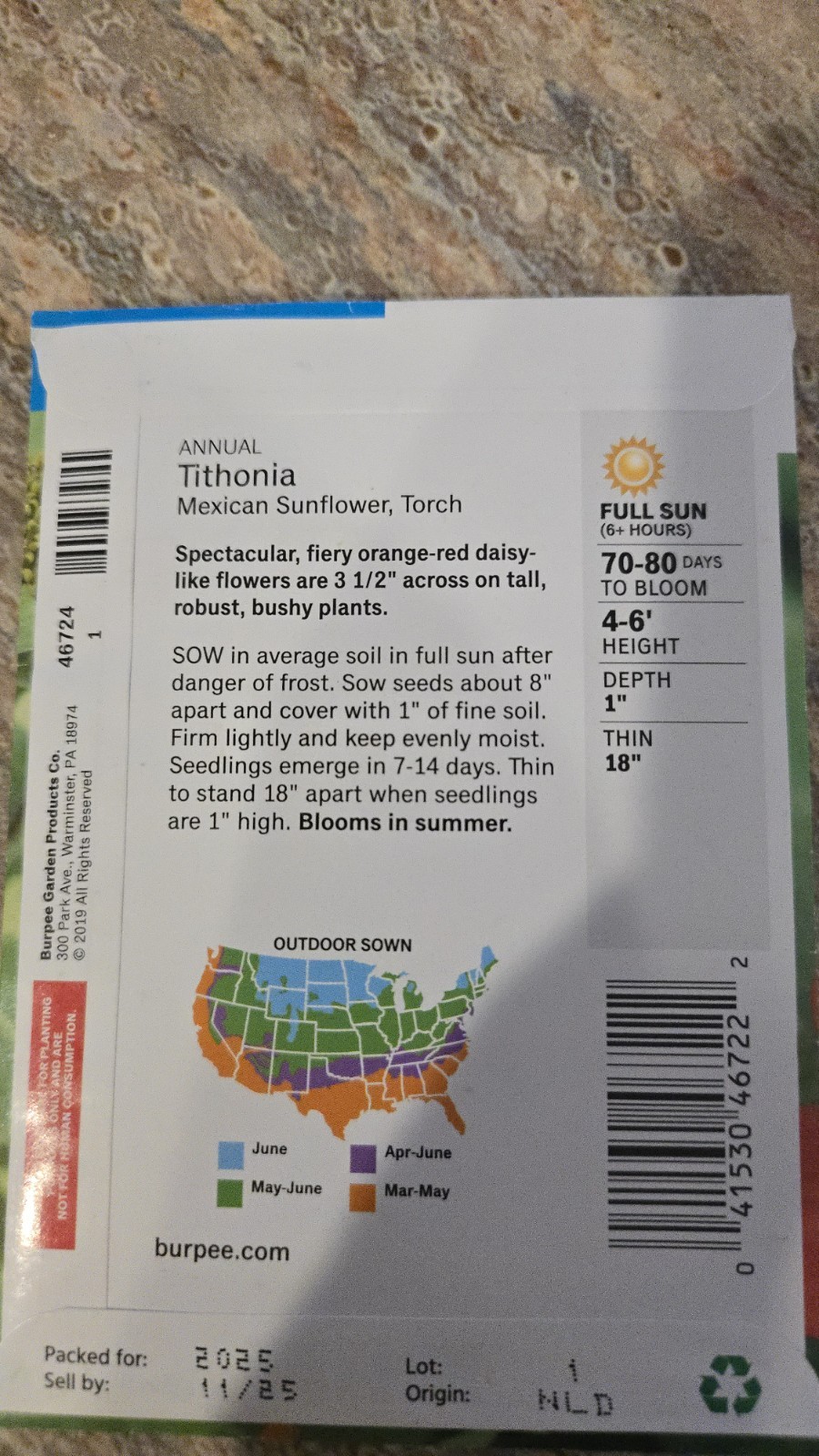 Tithonia Mexican Sunflower, Attract Butterflies, Daisy-Like Bloom Burpee seeds