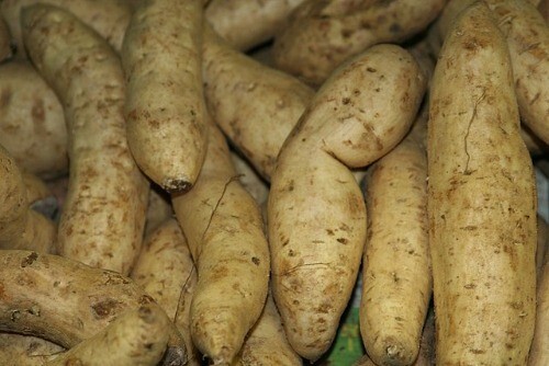 Dioscorea alata | Purple Yam | Ube | 5 Seeds