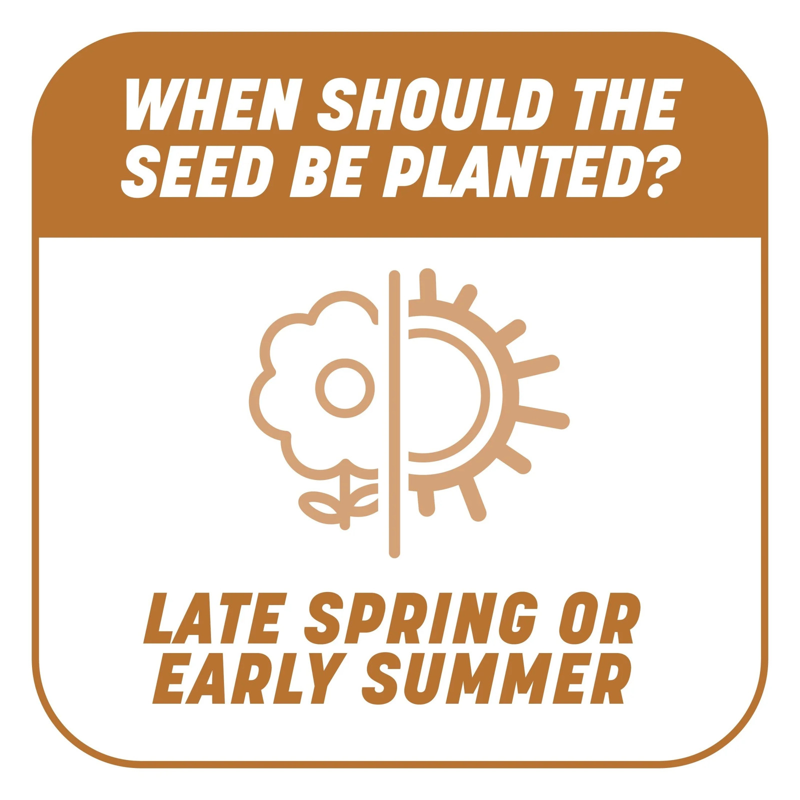 Smart Patch Centipede Seed Mix 5 Lb