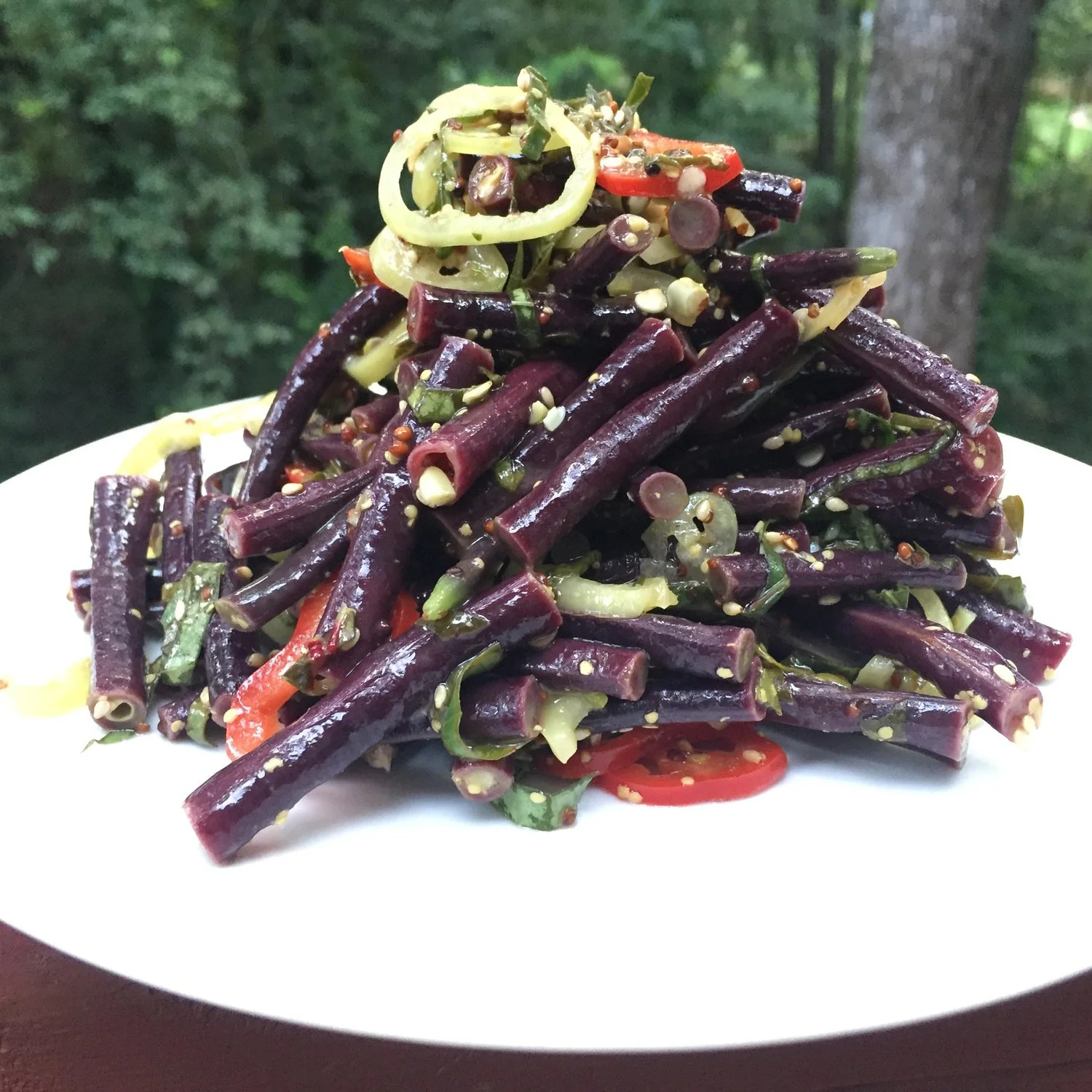 Royal Burgundy Bean Seeds | NON GMO Heirloom Purple Green Beans Vegetable 2024