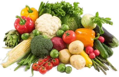 25 PACK HEIRLOOM VEGETABLE SEED COLLECTION ~ heirloomseedguy ~ 2026 ~ NON-GMO