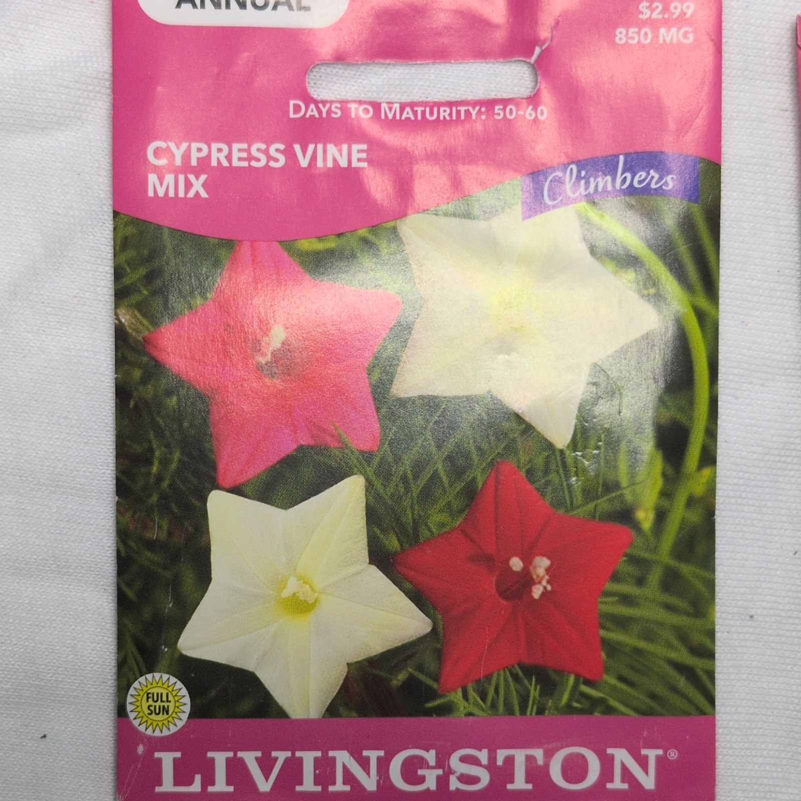 Livingston Cypress Vine Mix Annual Red White Pink Flower Seeds Full Sun Y2540