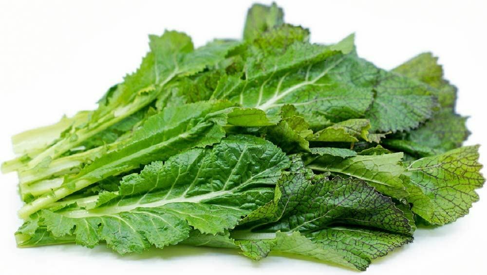 Mustard Green Seeds , Tendergreen Mustard Seeds, “COOL BEANS N SPROUTS” Brand