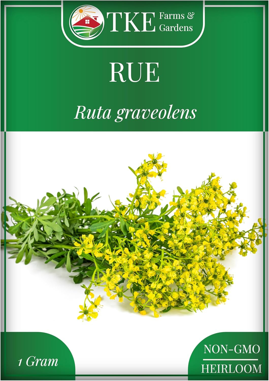 – Rue Seeds for Planting, 1 Gram, 500 Heirlooom Seeds, Non-Gmo, Instructions Inc