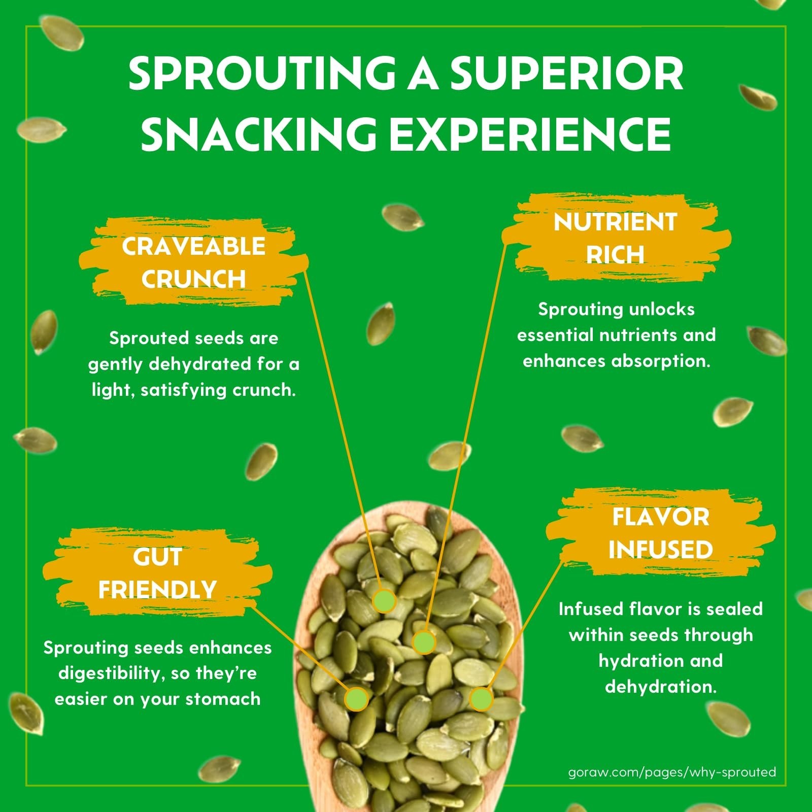 Organic Sprouted Sea Salt Snacking Seeds – Pumpkin & Sunflower, Keto, 6 Pack, 4