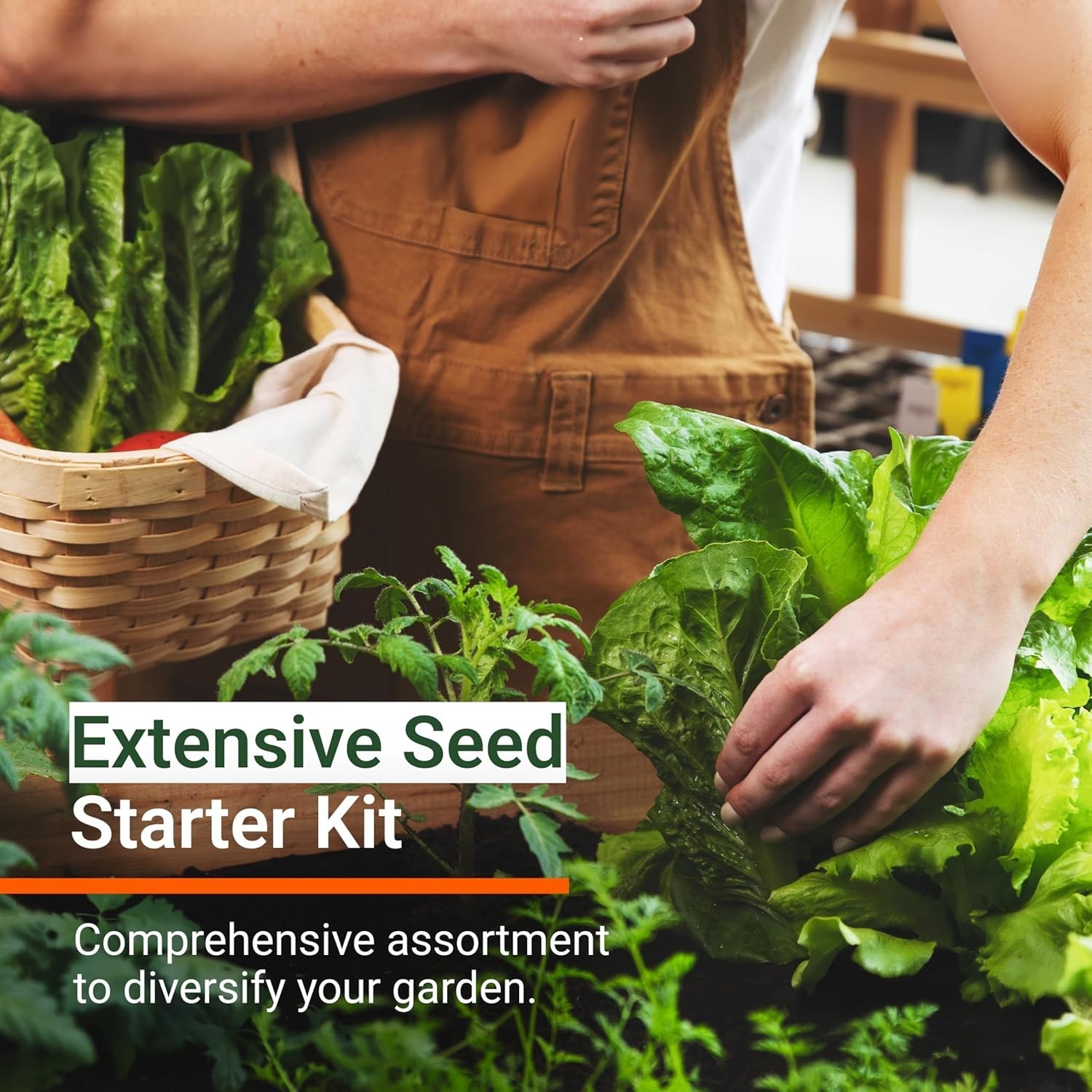 4,000 Non-GMO Heirloom Herb Seeds: 12-Pack Garden Starter Kit for Flavorful H…