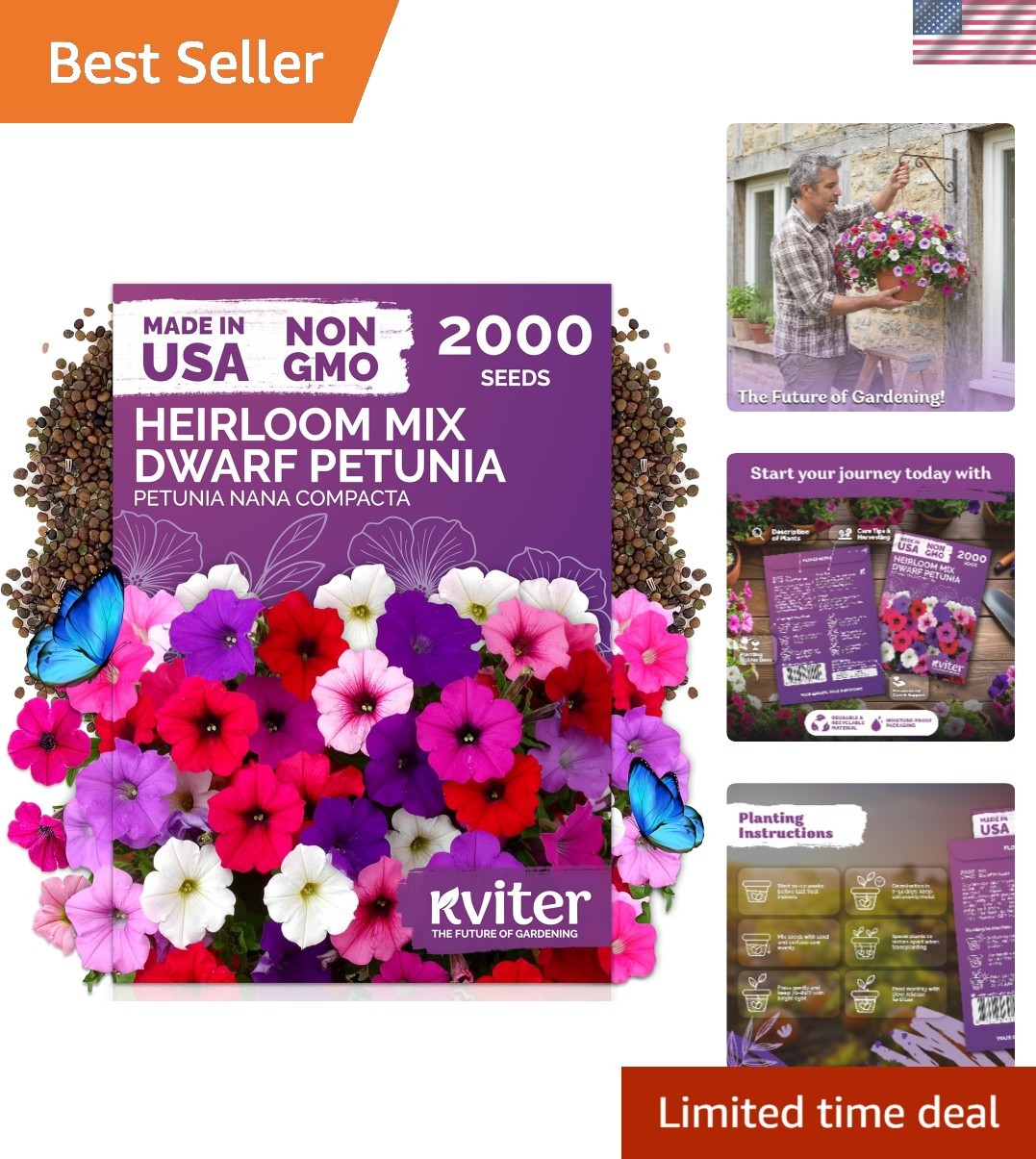 High Germination Dwarf Petunia Seeds – Vibrant 2,000 Count for Containers