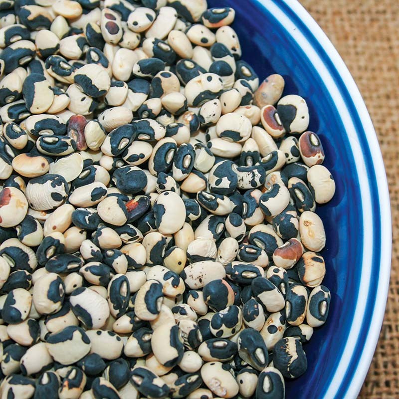 Phenomenal Cowpea Seeds (30) / RARE / VINING / HEAT TOLERANT / SUMMER / EASY