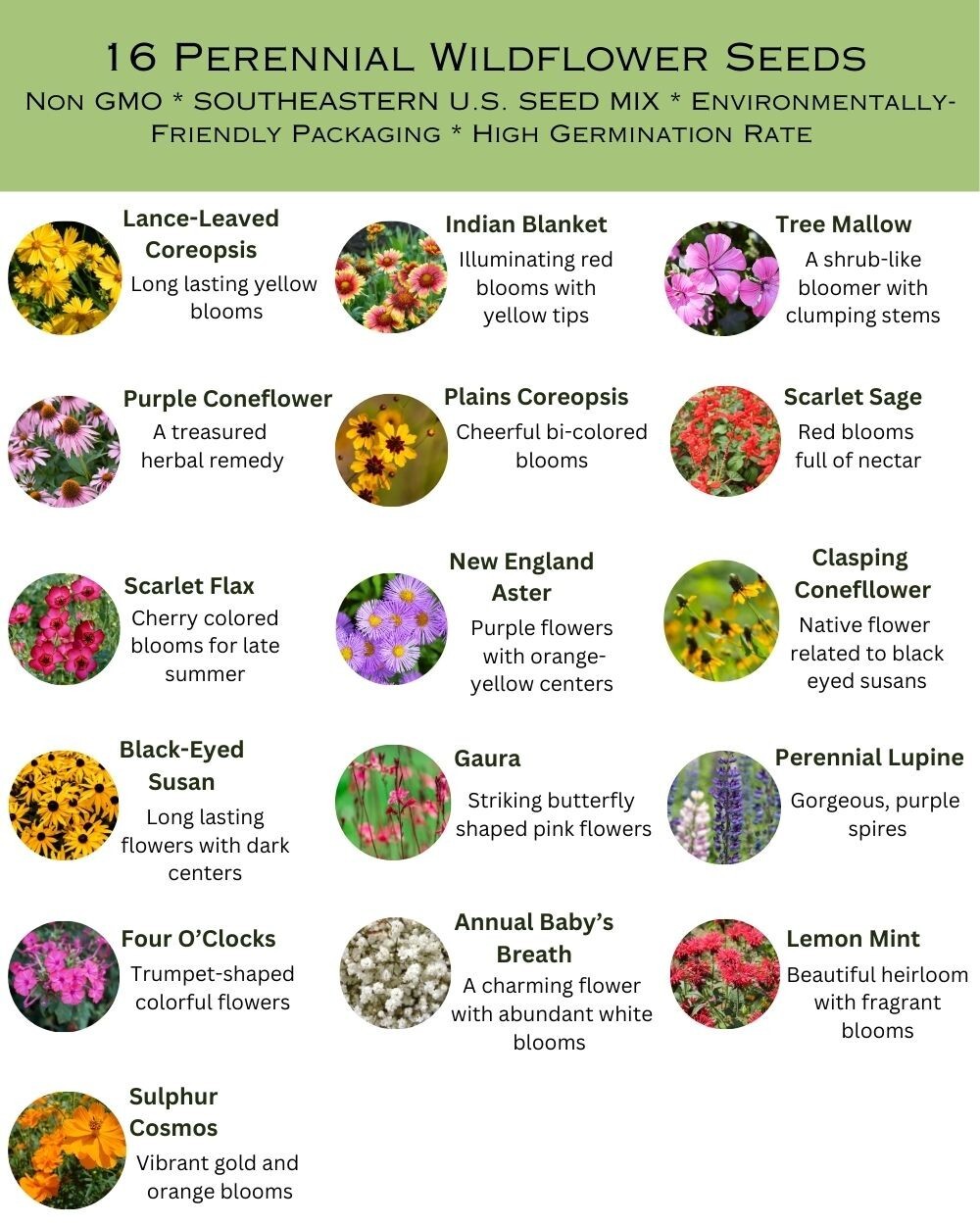 1 Pound Eastern Oklahoma Bulk Wildflower Seed Mix 1lb Covers 2,000sq-ft